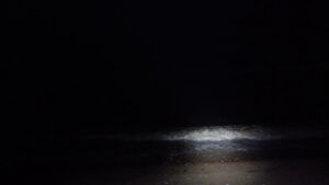 Image from the Electric Hert Beach Walk Video