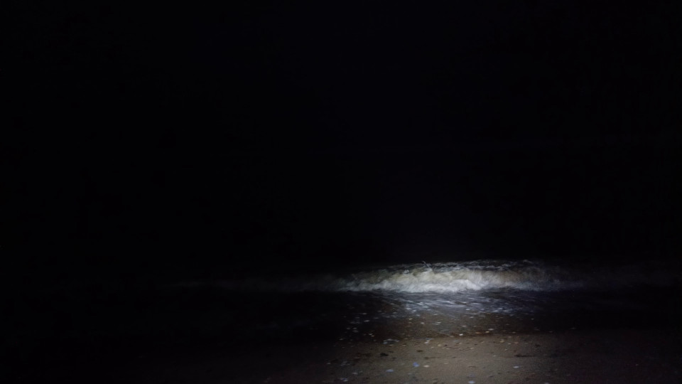 Image from the Electric Hert Beach Walk Video