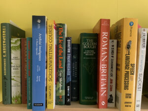 Selection of books on a wooden shelf